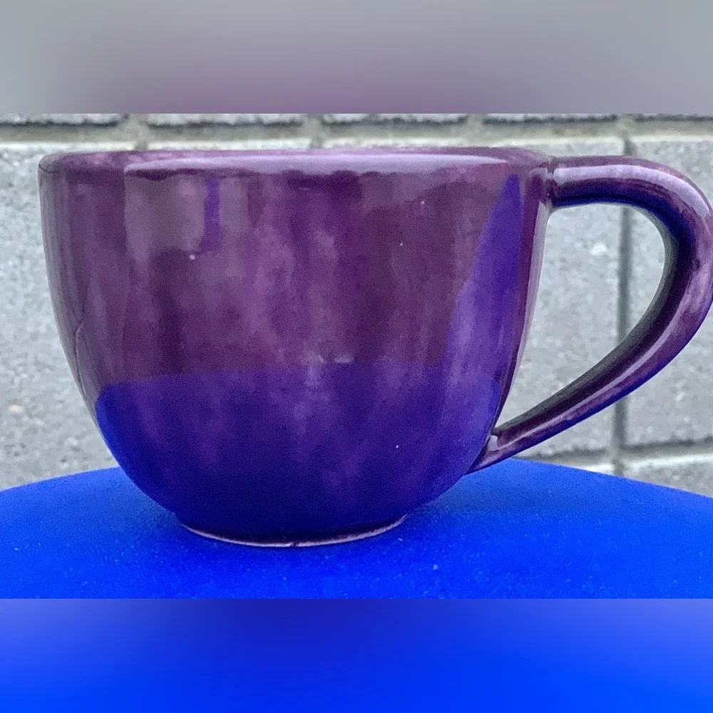 Vtg Discontinued Pottery Barn SAUSALITO Fig Purple Glazed Earthenware Mug